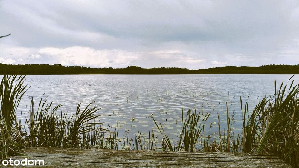 Dom nad jeziorem 10 km od centrum Bydgoszczy, z własną linią brzegową.