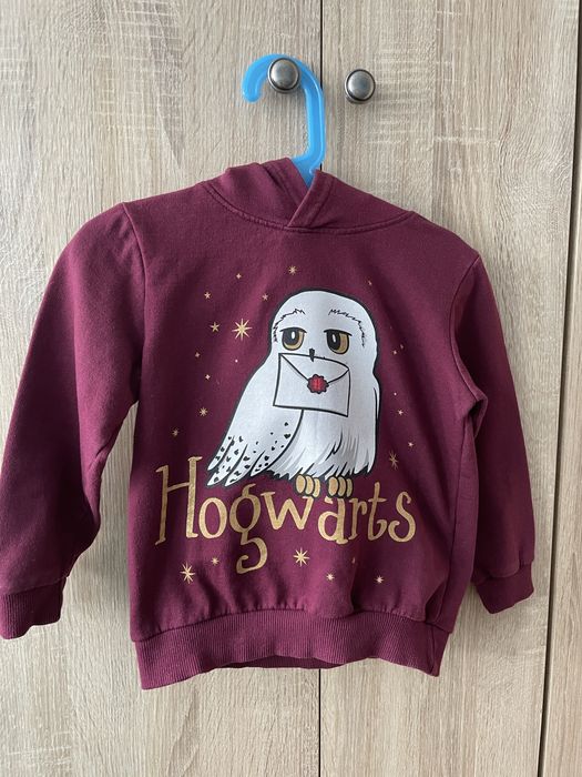Bluza Harry Potter