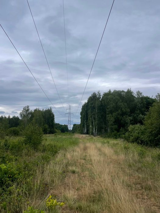 Okazja miejsce odosobnienia działka rolną 1,70ha zostań rolnikiem - Widok 3