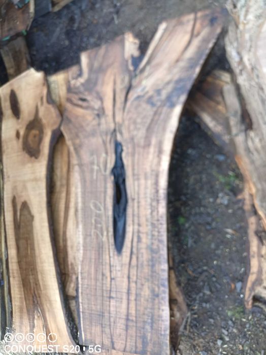 dąb jesion akacja kasztan orzech włoski  plastry krązki monolit blaty