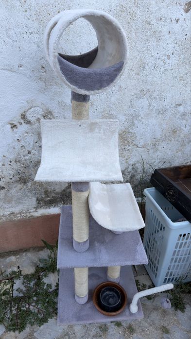 Arranhador gato