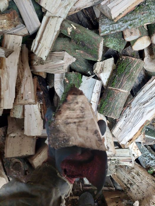 Дрова порубані мікс