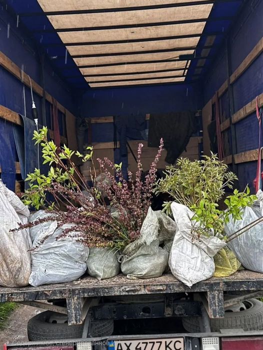 Грузоперевозки , Грузчики , Квартирные переезды , Грузовые перевозки