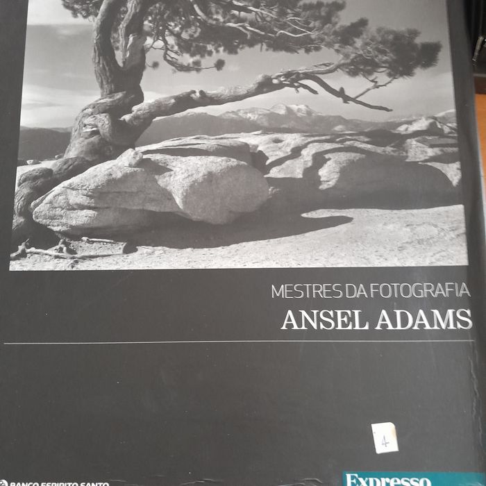 Livros sobre grandes fotógrafos para apreciadores de fotografia