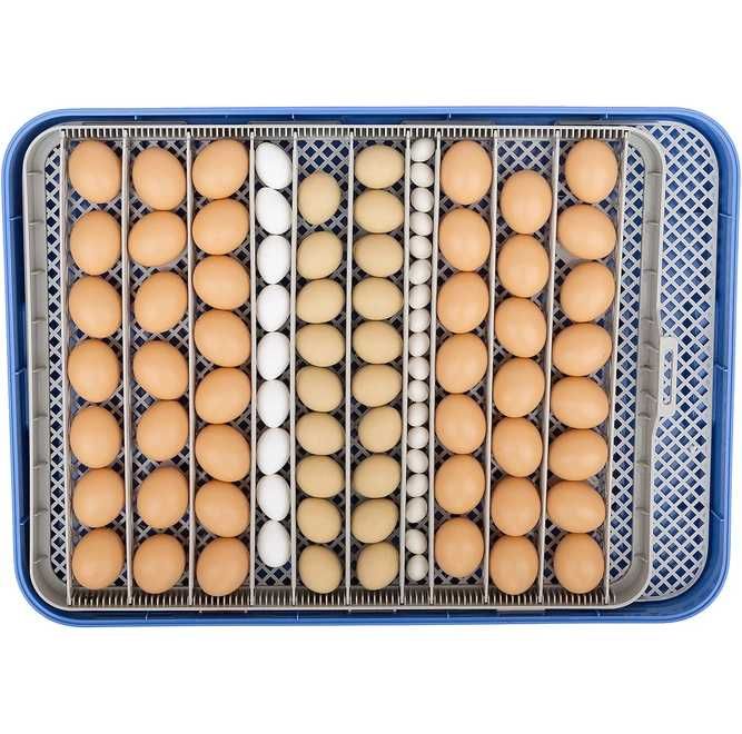 Inkubator OVOstart 70 jaj Automatyczny Pompa Wilgotności, LCD