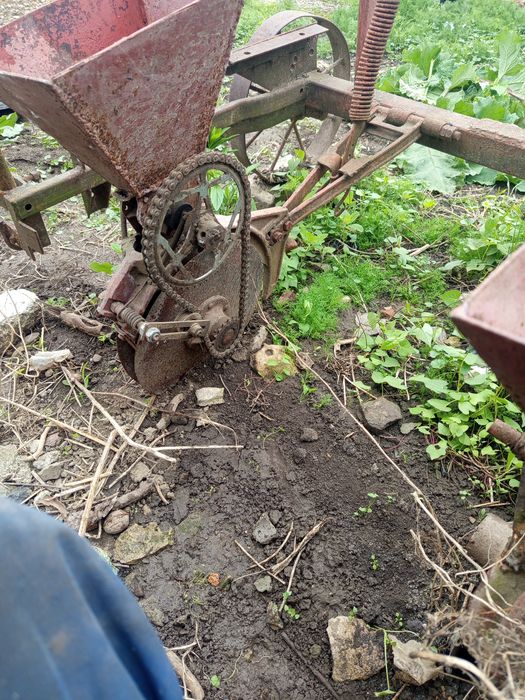 продам сівалку кукурудзяну ,соняшник