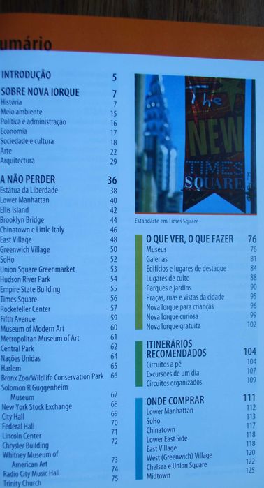 Nova Iorque (Tudo O Que Precisa Para Uma Viagem Perfeita)