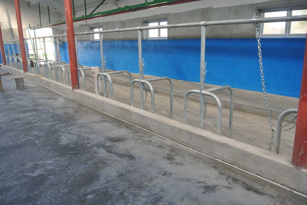 Wygrodzenia stanowiska przegrody dla bydła krów bramki