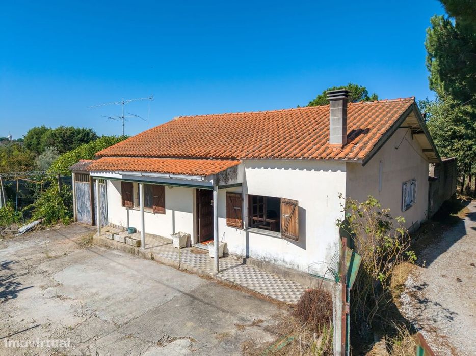 Fantástica Quinta com 3.450 m² a 3 km de Carregal do Sal