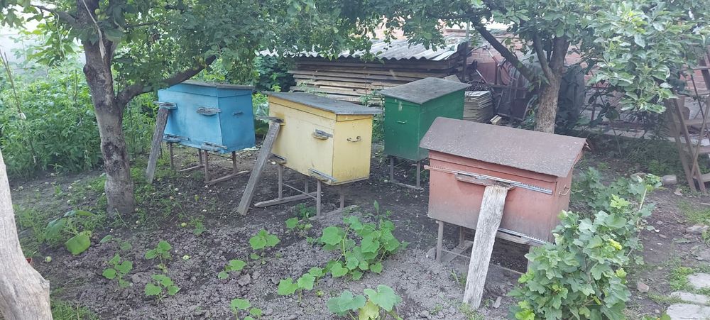Улий для пчёл. Пчел НЕТ.