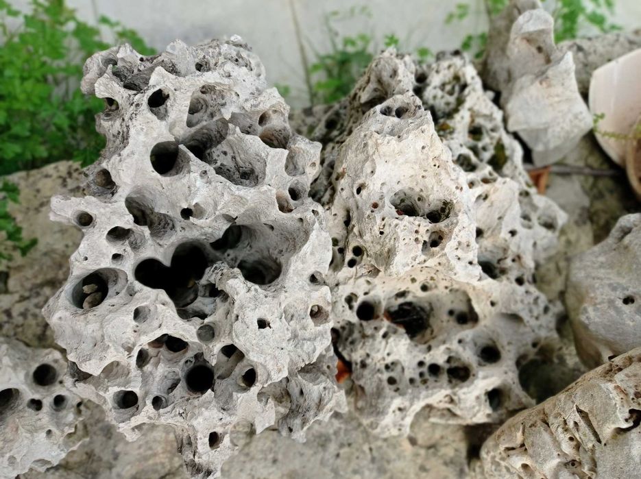 Pedras para decoração de jardim