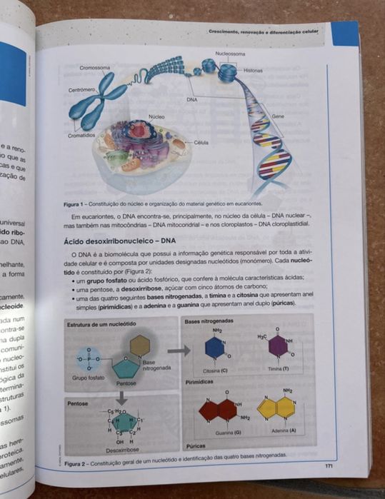 Livro Preparação para o exame Biologia e Geologia 11