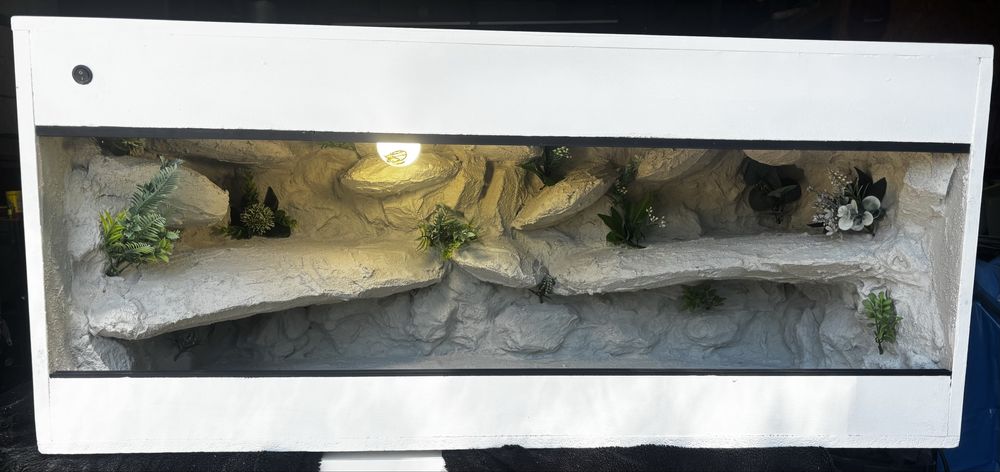 Terrarium dla agamy brodatej