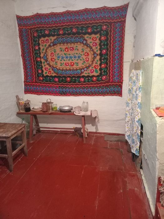 Продаж будинку у селі Друцьке