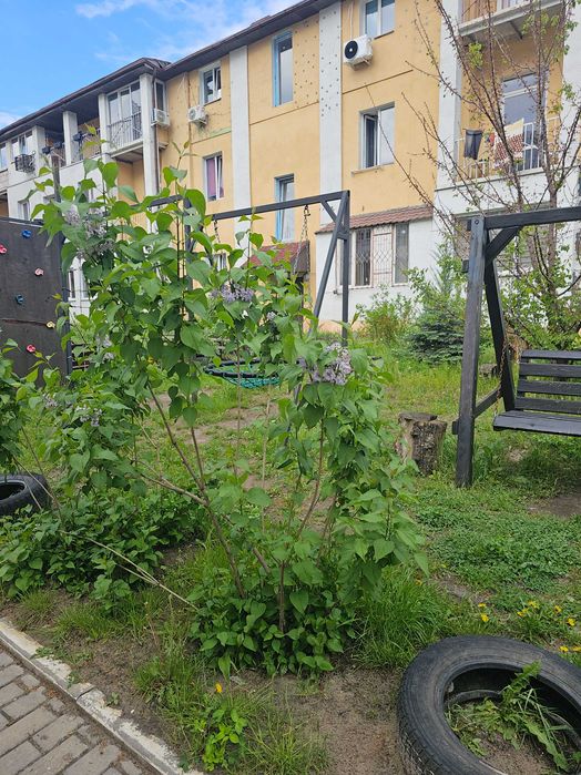 Продаж кварири під бізнес