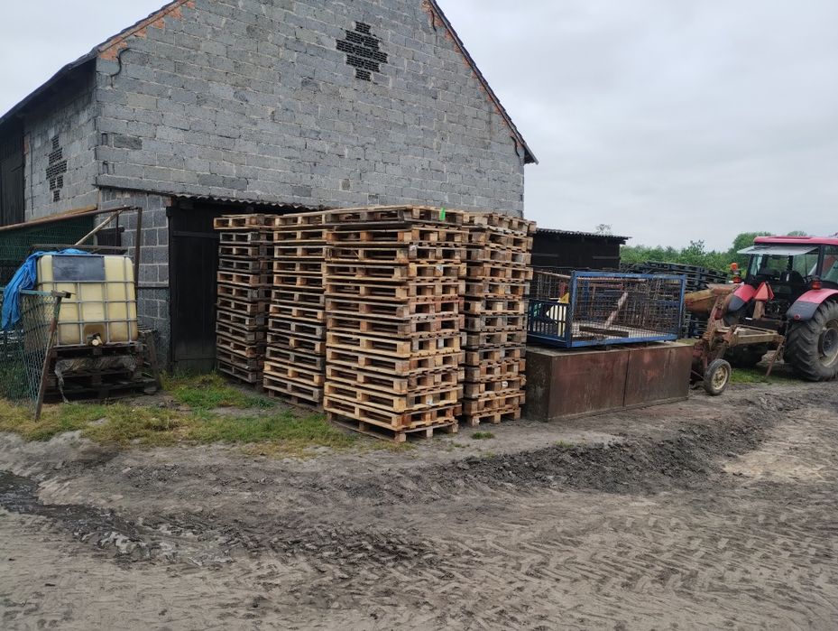 Mobilny Skup Palet 120 x 80 gotówka dobre ceny
