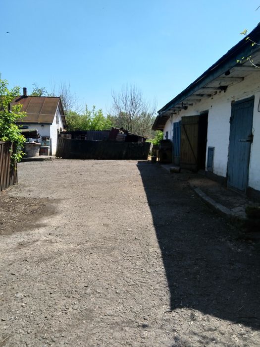 Будинок керпічний