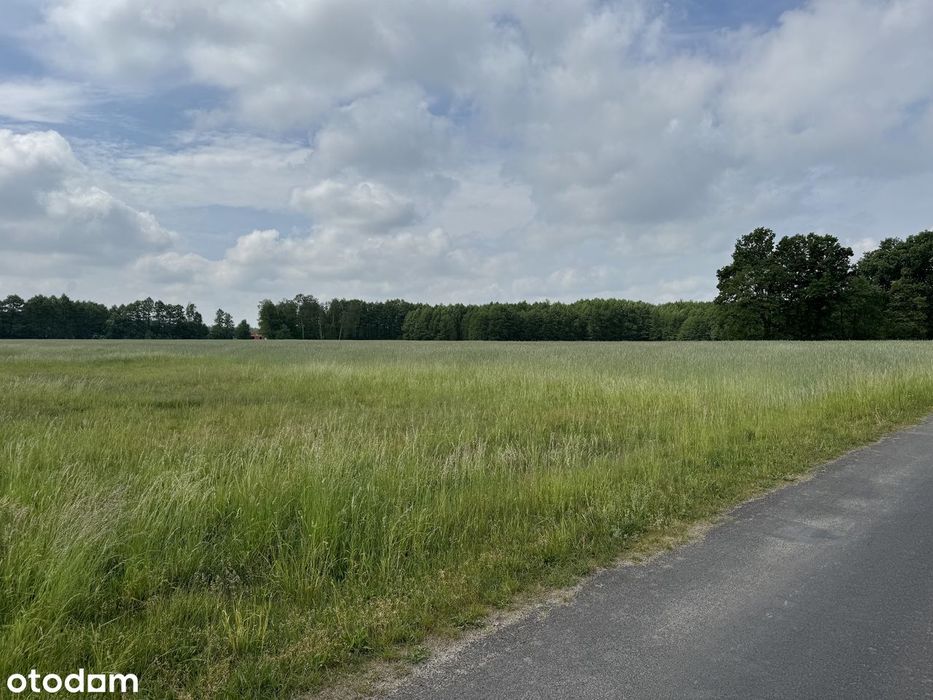 Gierłatowo - działki z planem zagospodarowania - Więcej