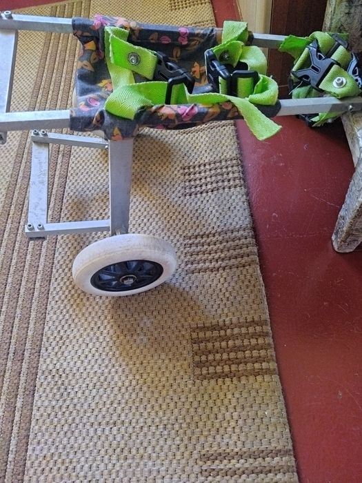 Інвалідний візок для маленьких тварин