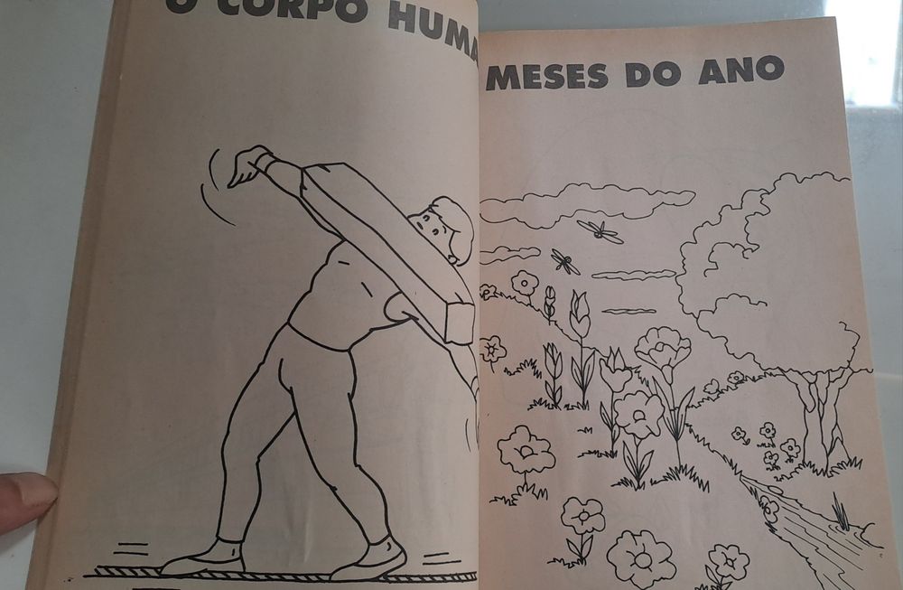 Livro para colorir varios temas