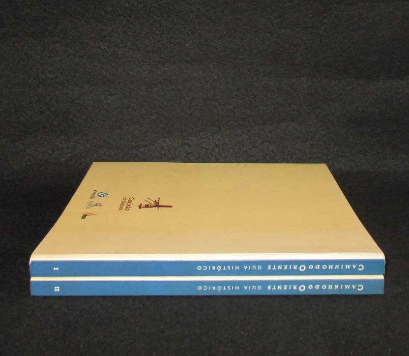 Livros Caminho do Oriente Guia Histórico José Sarmento de Matos 2 Vols