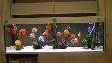 Fazendo aquários, vários trabalhos em vidro