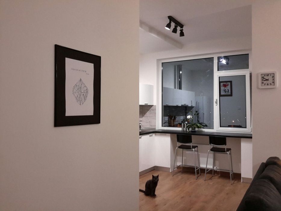 Здам квартиру-студію в Кадорі на Марсельській