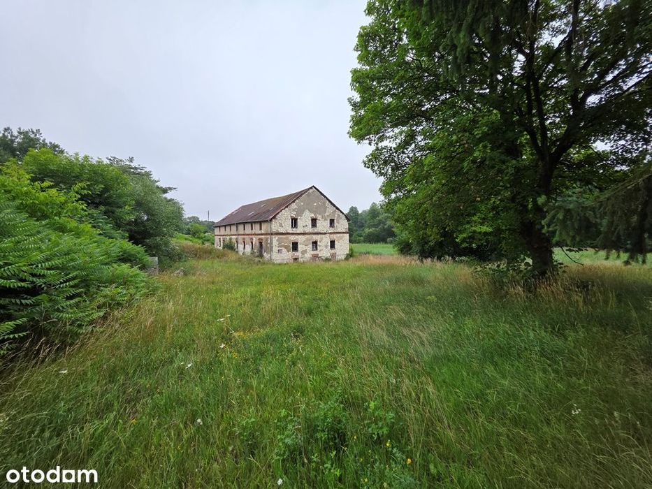 Zabytkowy Młyn, budynki gospodarcze, rzeka, las - Widok 3