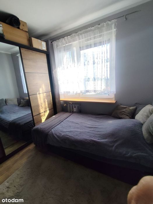 Mieszkanie na Kochanowskiego - Widok 5