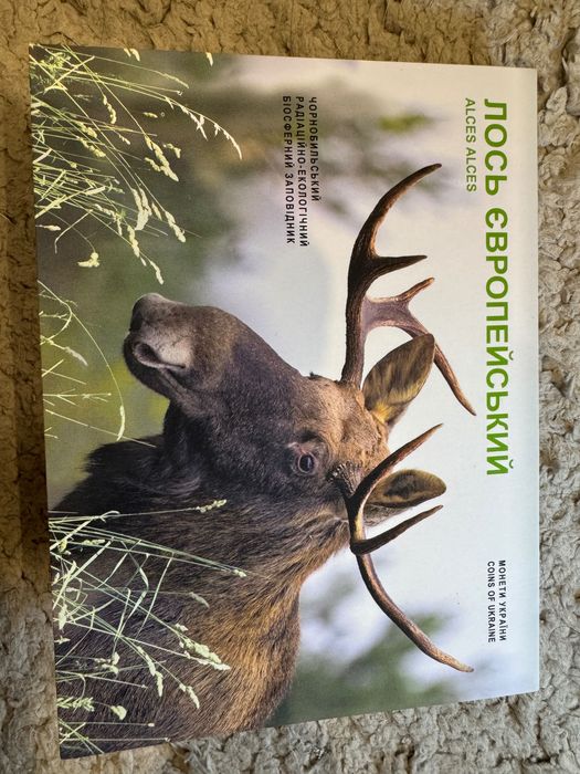 Чорнобиль. Відродження. Лось європейський