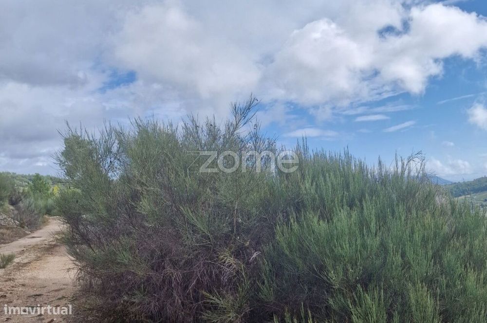 Terreno Urbanizável para Venda em Pegarinhos , Alijo