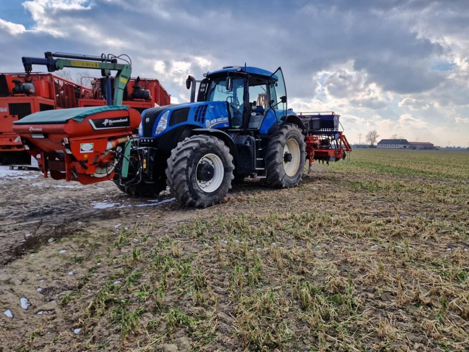 Siew buraków cuktowych, zbóż strip till uprawa pasowa bezorkowo