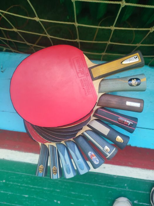 Butterfly sk7 Fan-Zhendong super alc -Peter Korbe Maze offl