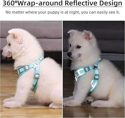 Lekkie regulowane szelki dla psa smycz zestaw