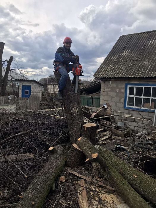 Спиляти дерево, Спилить дерево, Обрізка дерев, Розчистка території,