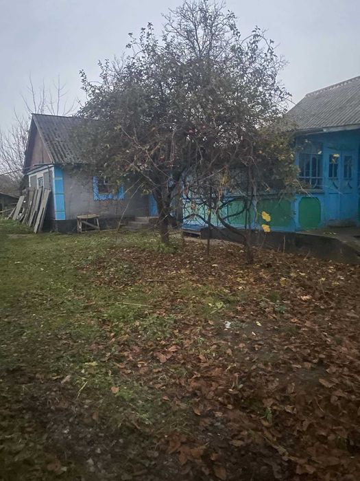 Продам будинок в с.Обухів
