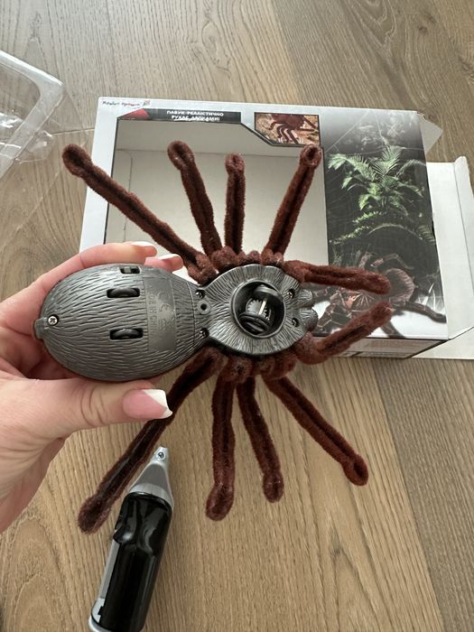 Павук птахоїд на батарейках та пульті