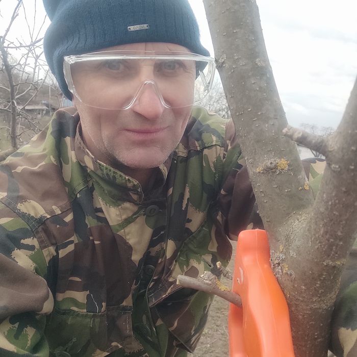 Доброго дня, надаю послуги, обрізка та формування плодових дерев .