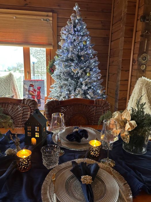 Дом зі спа-чаном Vysokyi Magic house |Харків |Тераса| Спальня| Кухня