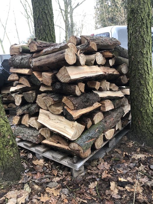 Brzoza, dąb, drzewo lisciaste  250/350 na opal do pieca i do wedzenia, gruszka, modrzew