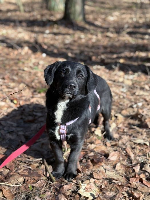 Młoda, urocza Omulew szuka rodziny na zawsze