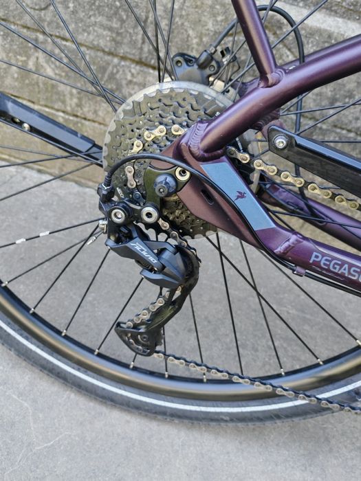 Електровелосипед Pegasus Solero Evo 9 (  2022 року)