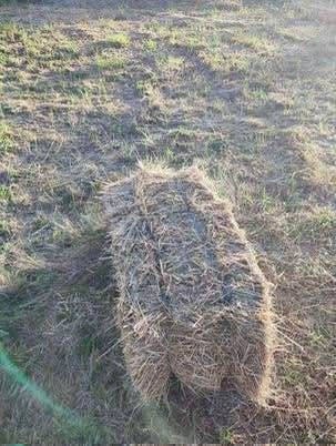 Vendo feno para carregar na hora