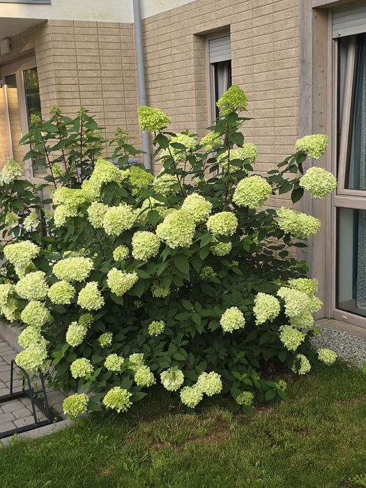 Apartament Turkusowy w Mielnie