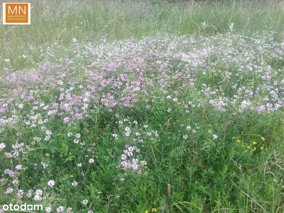 Kocmyrzów,Wronin,Proszowice,11a budowlana, - Widok 4