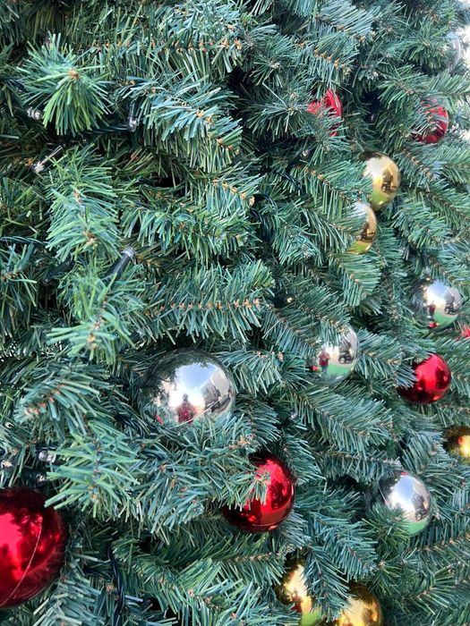 Arvores de Natal