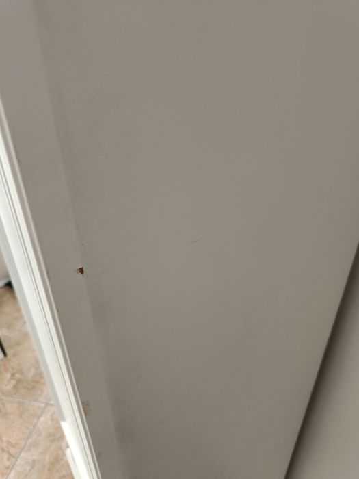 Szafa ubraniowa z dekorem