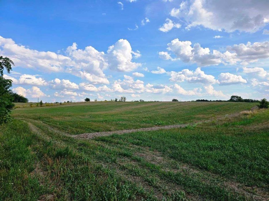 Продаж земельної ділянки с. Липини | 30 сот | під забудову