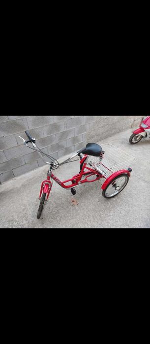 Triciclo de Adulto
