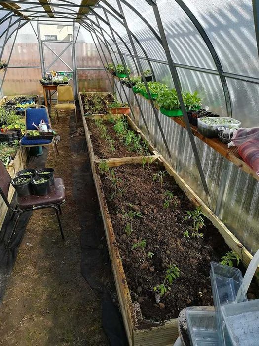 Szklarnia od 3x4 do 3x12 z poliwęglanu | 180 kg/m² | 10 lat gwarancji